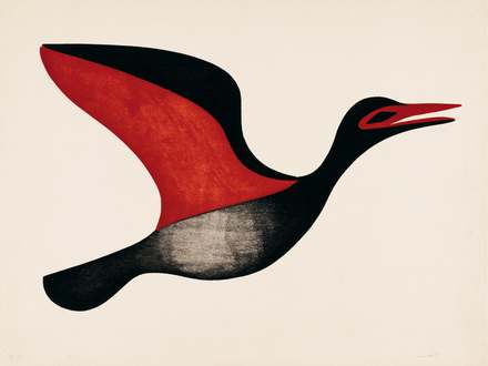 The wings of the morning